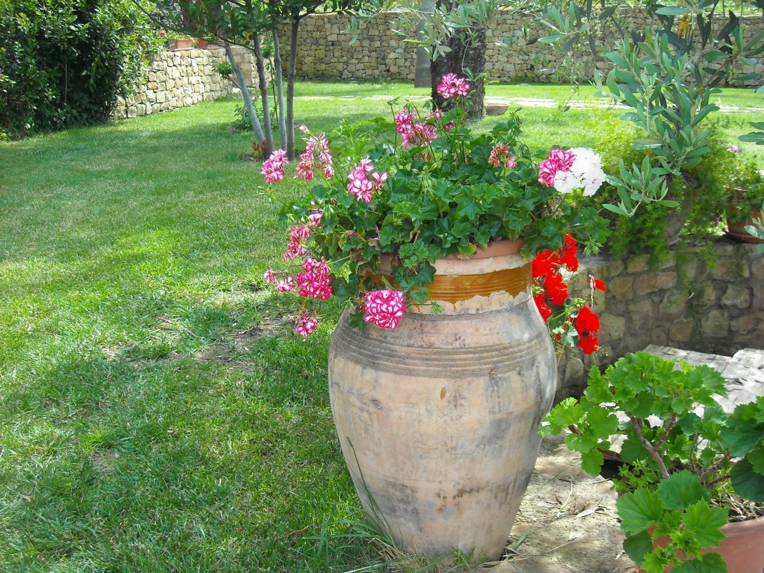 Farm stay Agriturismo Luca *